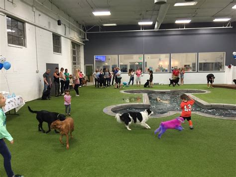 Unleashed dog hotel - Unleashed Dog Hotel is Utah’s premier boarding and daycare facility exclusively for dogs. We offer Boarding, Daycare, and Grooming services in our state of the art, luxury hotel.